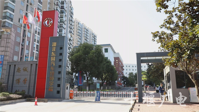 十堰驾校怎么选？东运驾校带你从报名到拿证全流程避坑指南